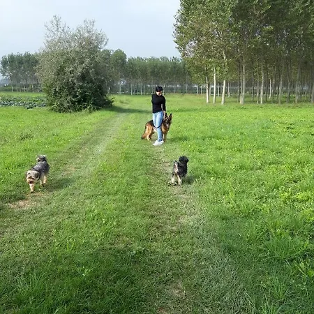 Da Beppe * Alba (Piedmont)