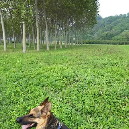 Daire Da Beppe Alba (Piedmont)